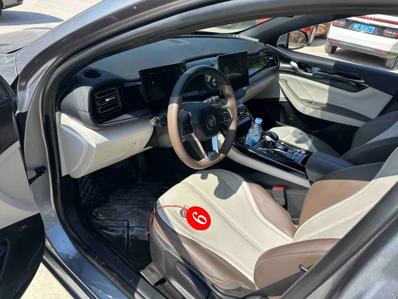 BYD Qin PLUS 2024 Glory Edition DM-i 55KM Leading Model — photograph 4