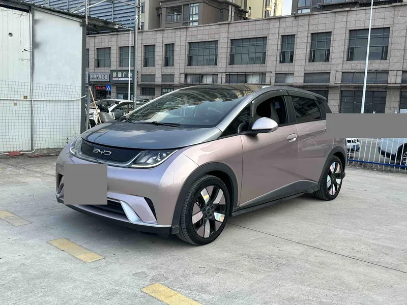 BYD Dolphin 2021, 401km range, Rider Edition — photograph 1