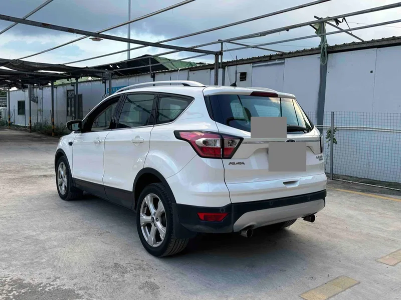 Ford Escape 2017 EcoBoost 9000.00g Drive Tiger Leap — photograph 7