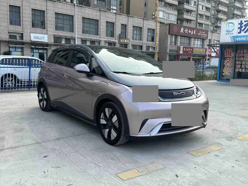BYD Dolphin 2021, 401km range, Rider Edition — photograph 3