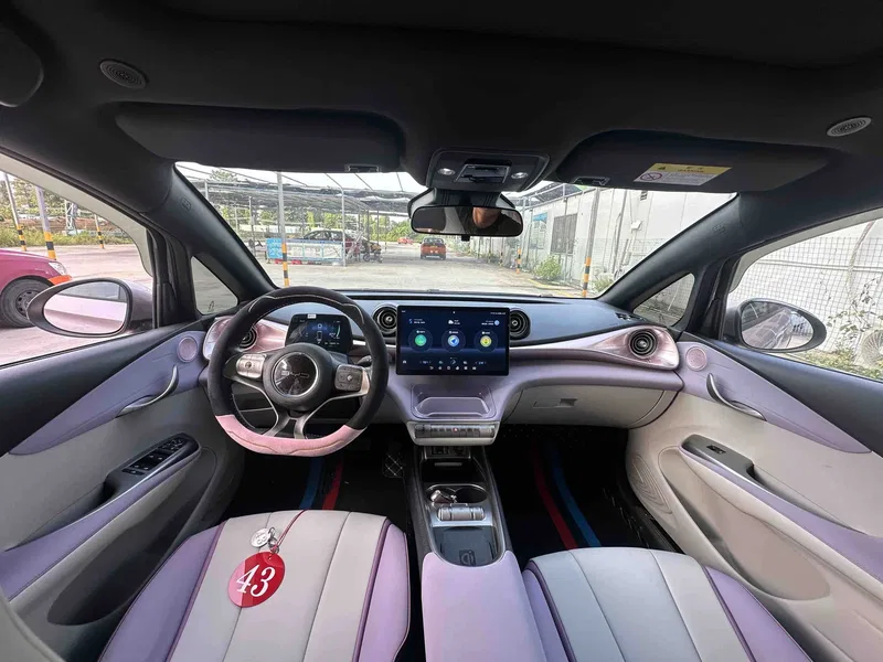 BYD Dolphin 2021, 401km range, Rider Edition — photograph 6