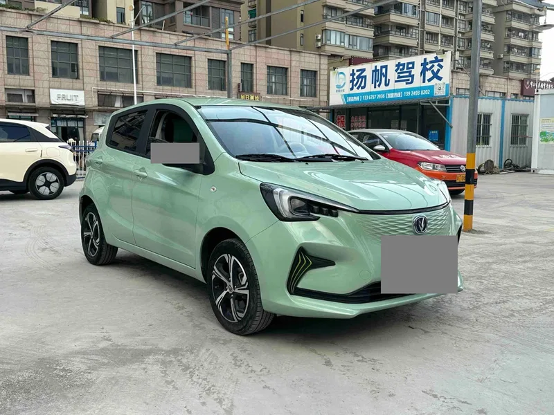 Changan Benben E-Star 2022 Appreciation Edition Colorful Lithium Iron Phosphate — photograph 3