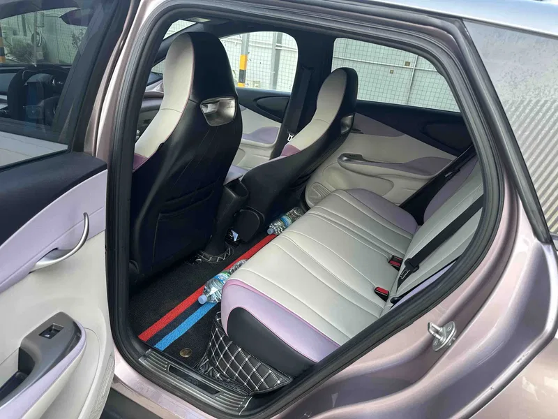 BYD Dolphin 2021, 401km range, Rider Edition — photograph 5