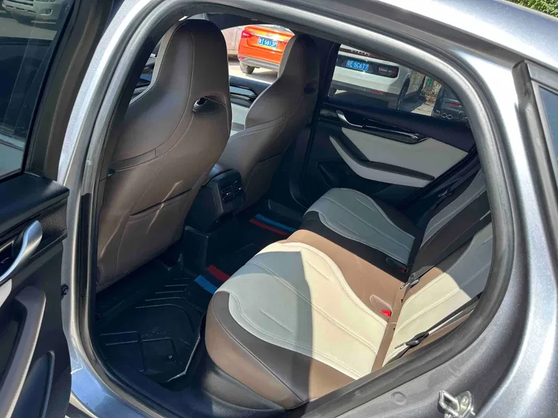 BYD Qin PLUS 2024 Glory Edition DM-i 55KM Leading Model — photograph 5