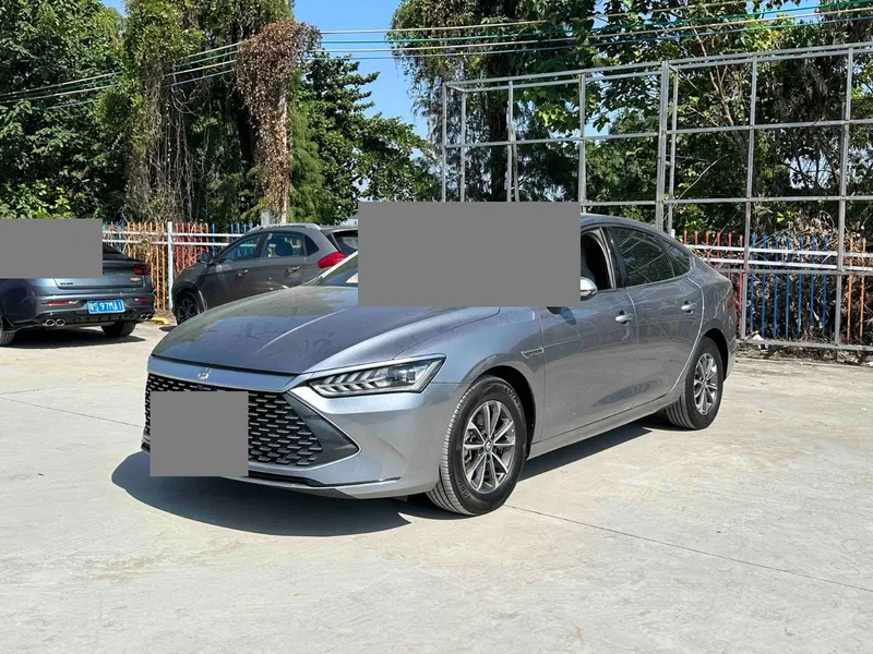 BYD Qin PLUS 2024 Glory Edition DM-i 55KM Leading Model — photograph 1