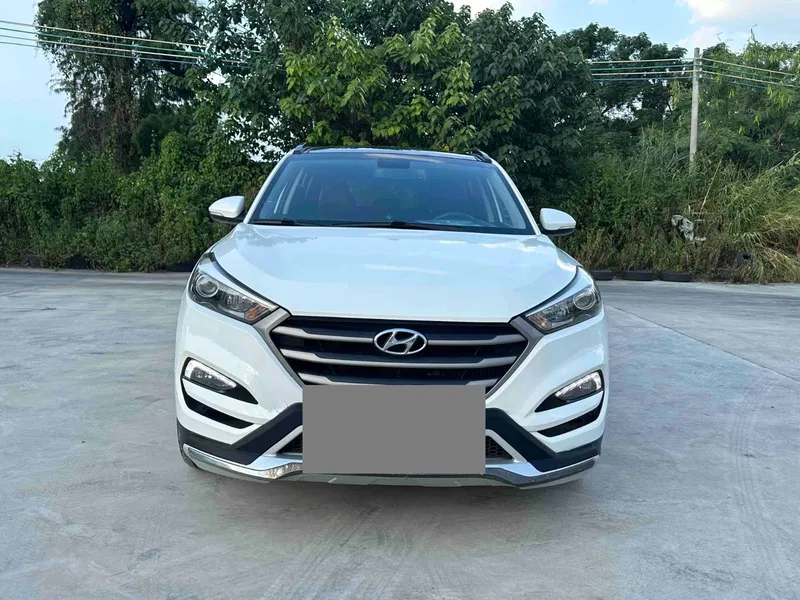 Hyundai Tucson 2015 1.6T Dual-Clutch Front-Wheel-Drive Smart Model — photograph 2