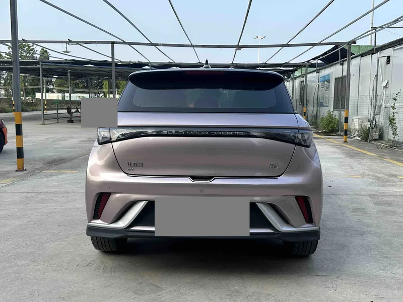 BYD Dolphin 2021, 401km range, Rider Edition — photograph 8
