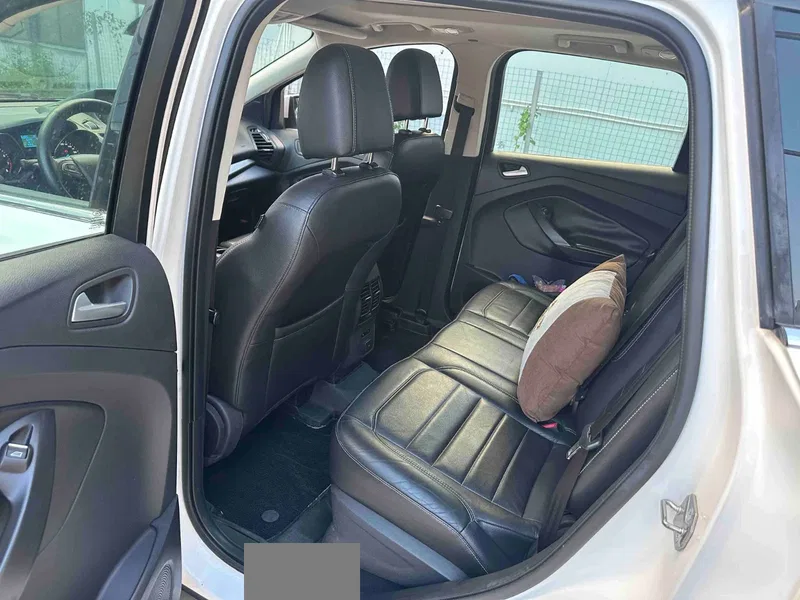 Ford Escape 2017 EcoBoost 9000.00g Drive Tiger Leap — photograph 5