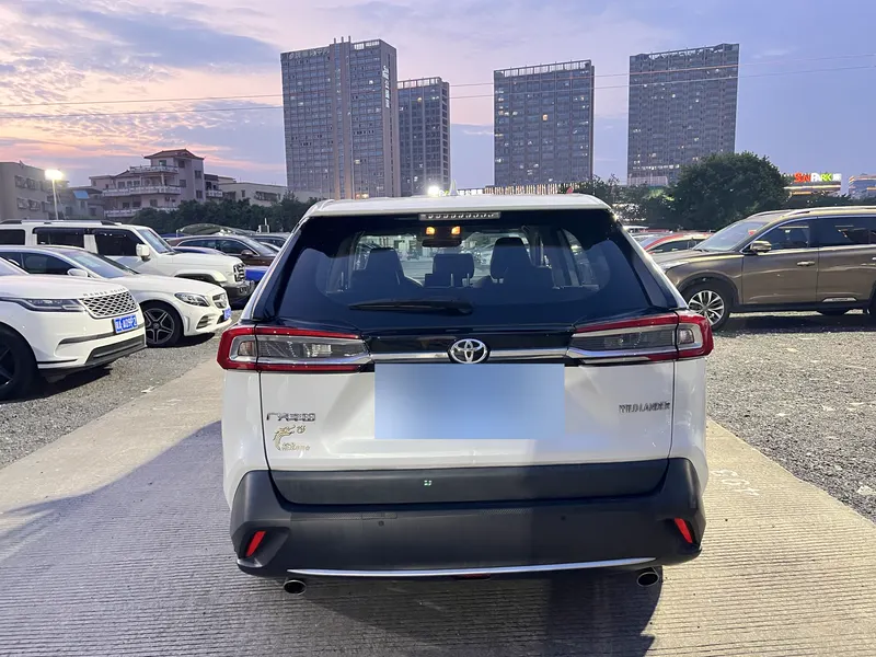 2022 Toyota Wildlander 2.0L CVT FWD Luxury PLUS — exterior photograph 9 of 9